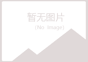 爱民区女孩零售有限公司